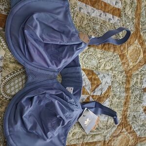 Wacoal Blue Molded Cup Bra Intimates